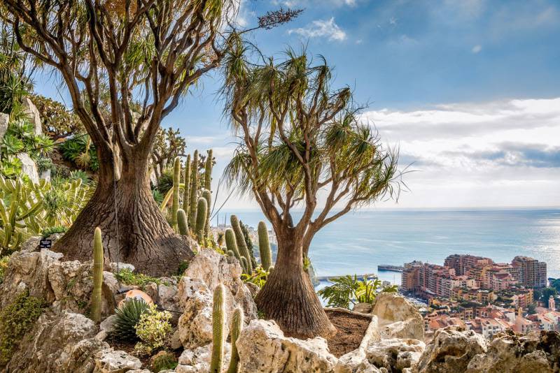 Protecting Endangered Species at Monaco’s Exotic Garden