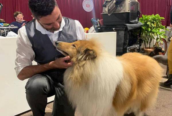 International Dog Show 2019: a «hairy» Boom in Monaco