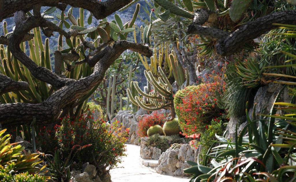 Festival Week-end Extraordinaire on June 1&2 at the Jardin Exotique