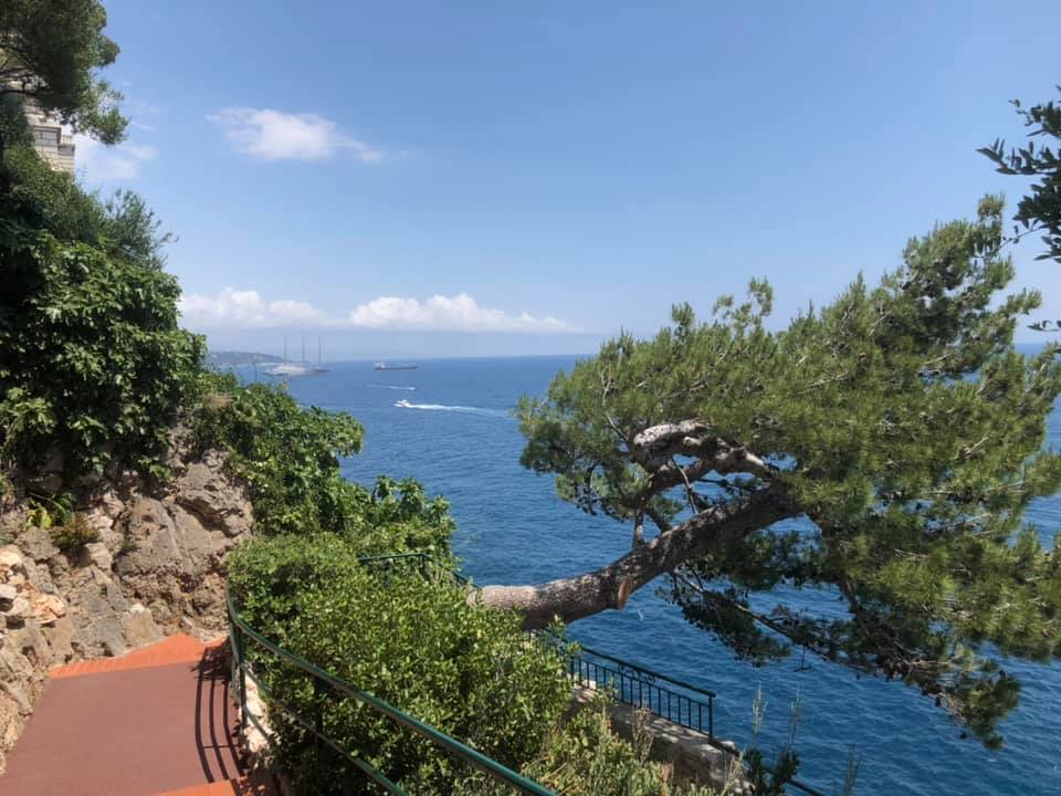 What links Monaco’s Jardin Exotique, Alfred Hitchcock, Princess Grace, Downton Abbey and the Oscars?