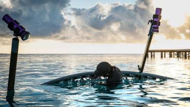 Wonders Of The Deep Mediterranean Newly At Reach With The Help Of Futuristic Diving Capsule