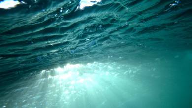 Crystal Clear Swimming Waters in Monaco and their secrets