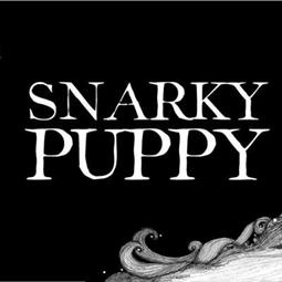 Snarky Puppy - Immigrance tour 2019