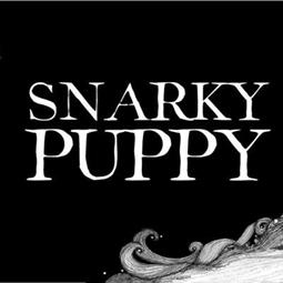 Snarky Puppy in concert at the Salle Garnier