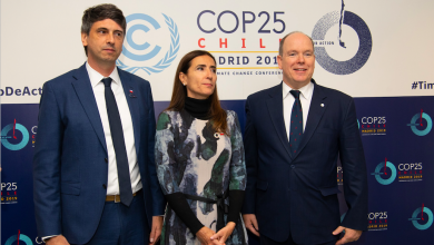 Prince Albert speaks at COP25 in Madrid