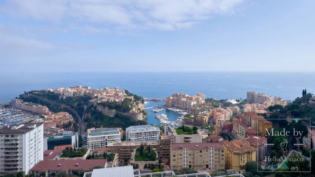 View of Monaco