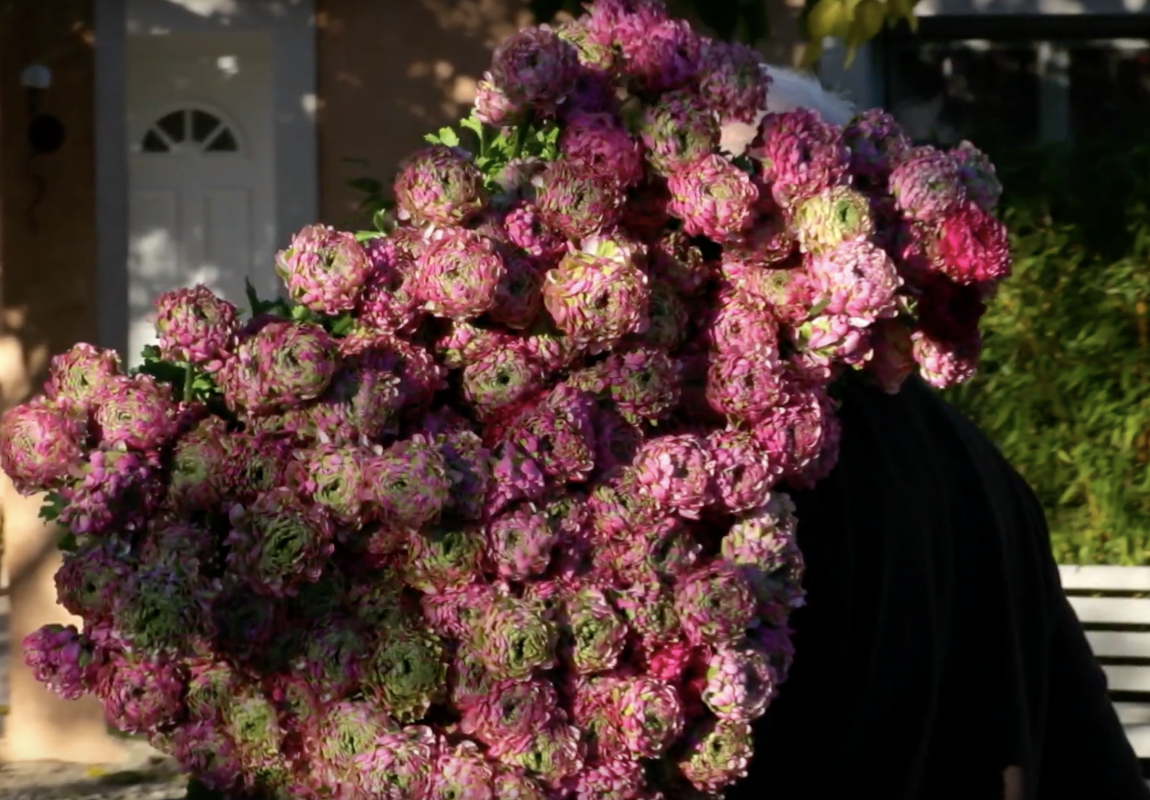 Floriculture on the Italian and French Riviera