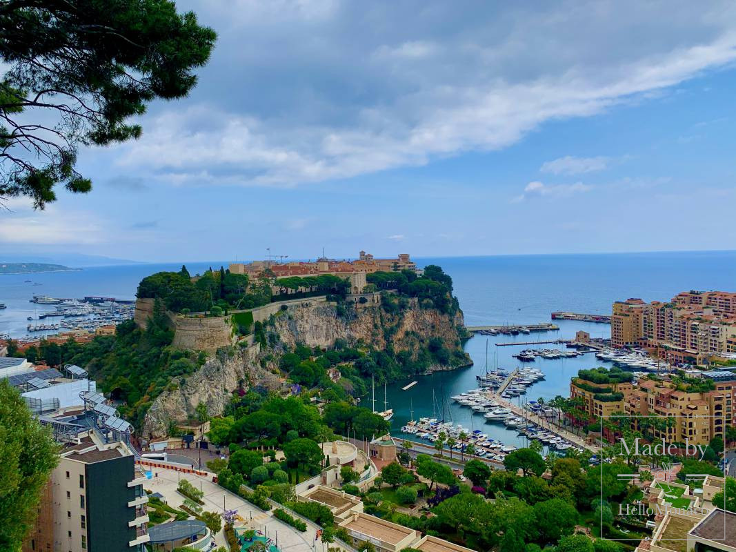 Monaco view.