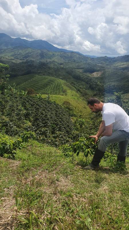 Green Coffee — the «greenest» coffee in the Principality of Monaco