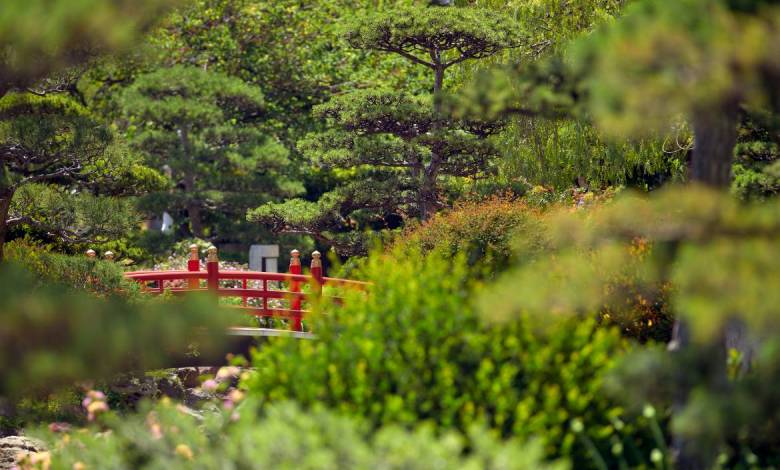 The Japanese Garden