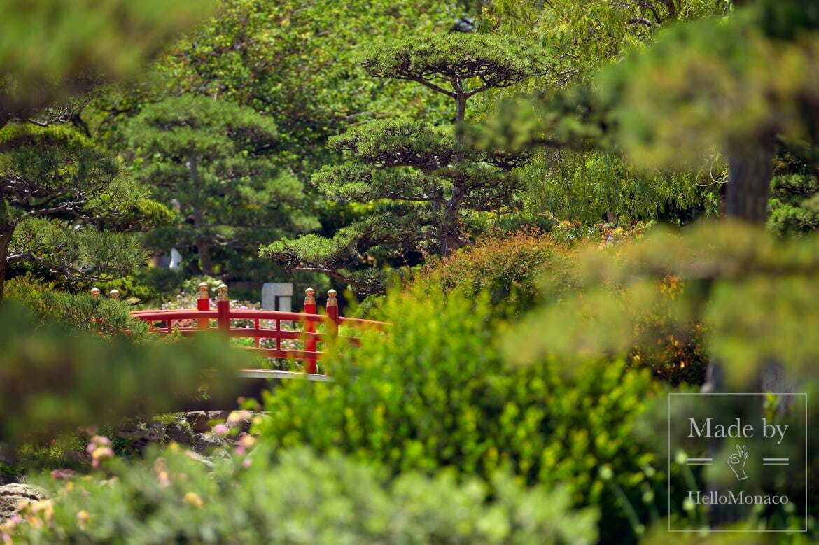 The Japanese Garden