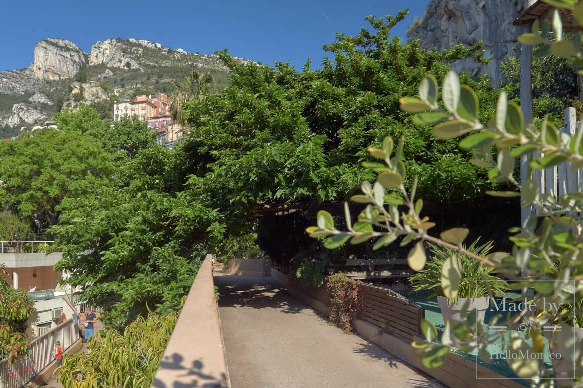 Zoological Garden of Monaco