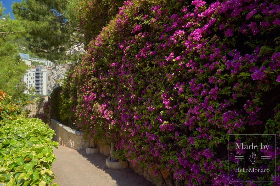 Zoological Garden of Monaco