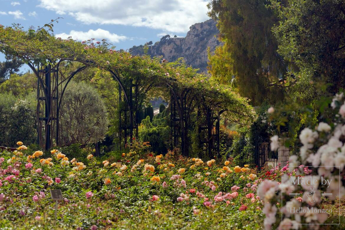 The Fontvieille Landscape Park and the Princess Grace Rose Garden