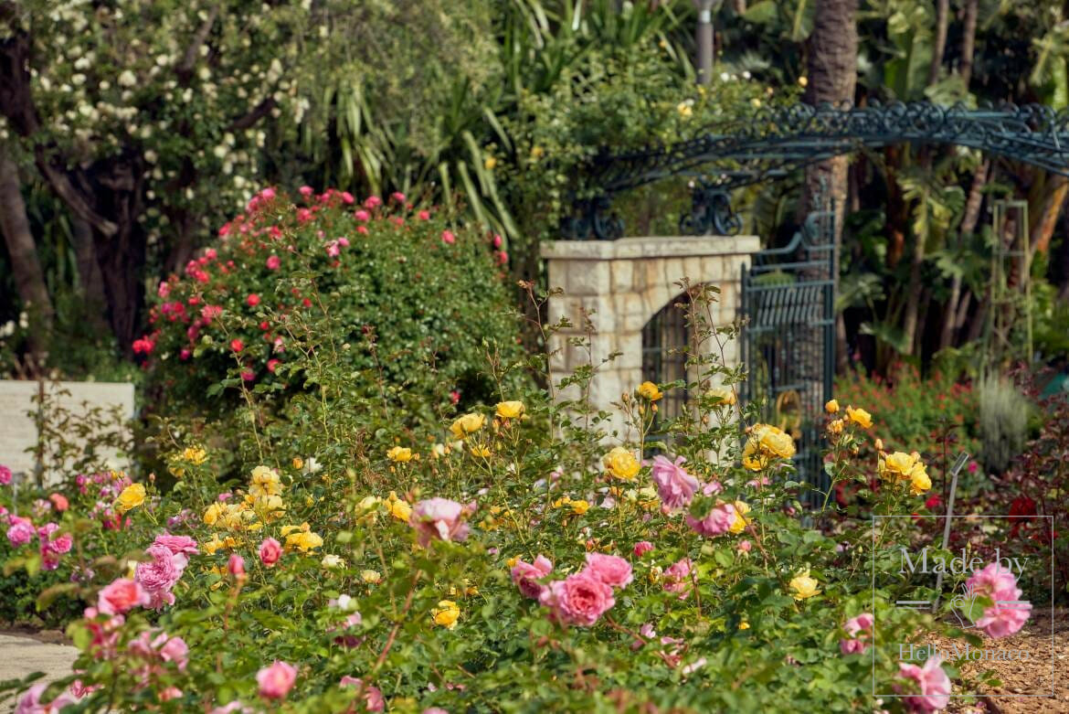 The Fontvieille Landscape Park and the Princess Grace Rose Garden