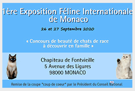 Inaugural Monaco International Cat Show