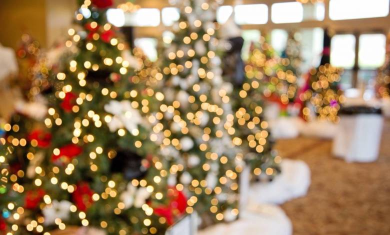 Help Light up Monaco’s Christmas Tree