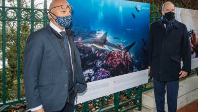 New photo exhibition along St-Martin gardens in Monaco