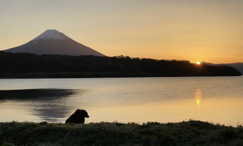 ‘Siberia’, the new filming project by Luc Jacquet goes Russian Far East to surprise and amaze