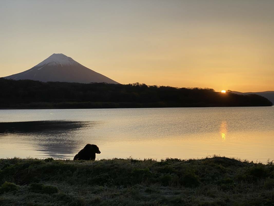 ‘Siberia’, the new filming project by Luc Jacquet goes Russian Far East to surprise and amaze