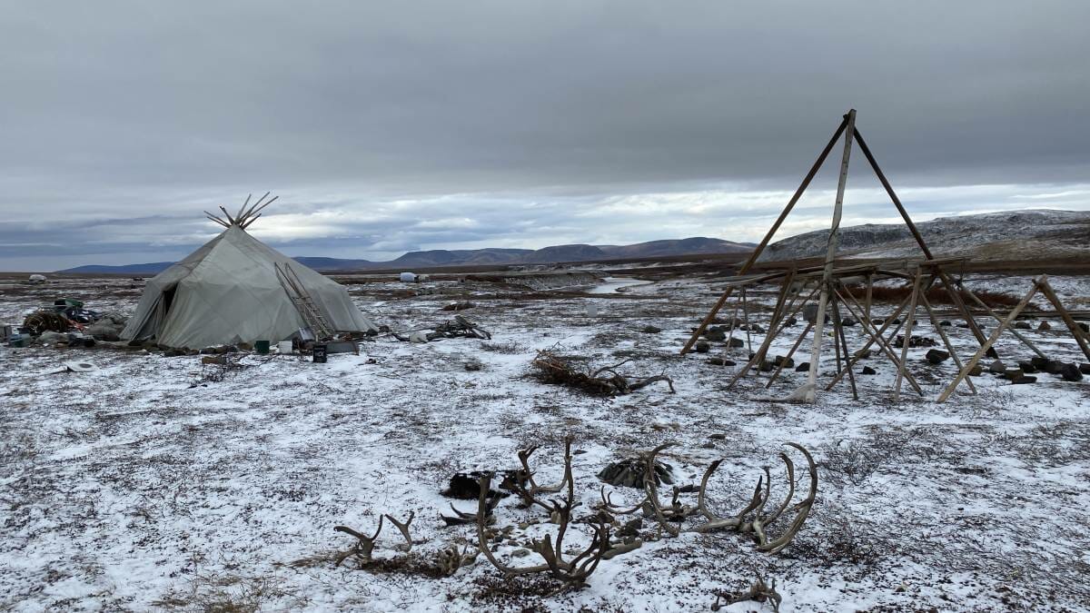 ‘Siberia’, the new filming project by Luc Jacquet goes Russian Far East to surprise and amaze