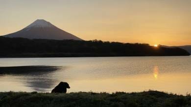 From Monaco to Kamchatka: A new project by Luc Jacquet