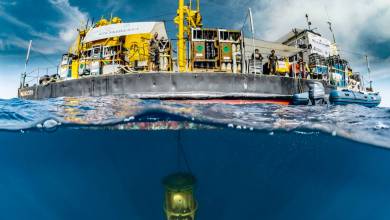 Gombessa ‘Mission Cape Corse’: news from the deep sea
