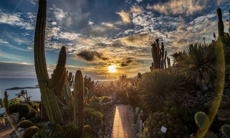 The Exotic Garden of Èze-Village