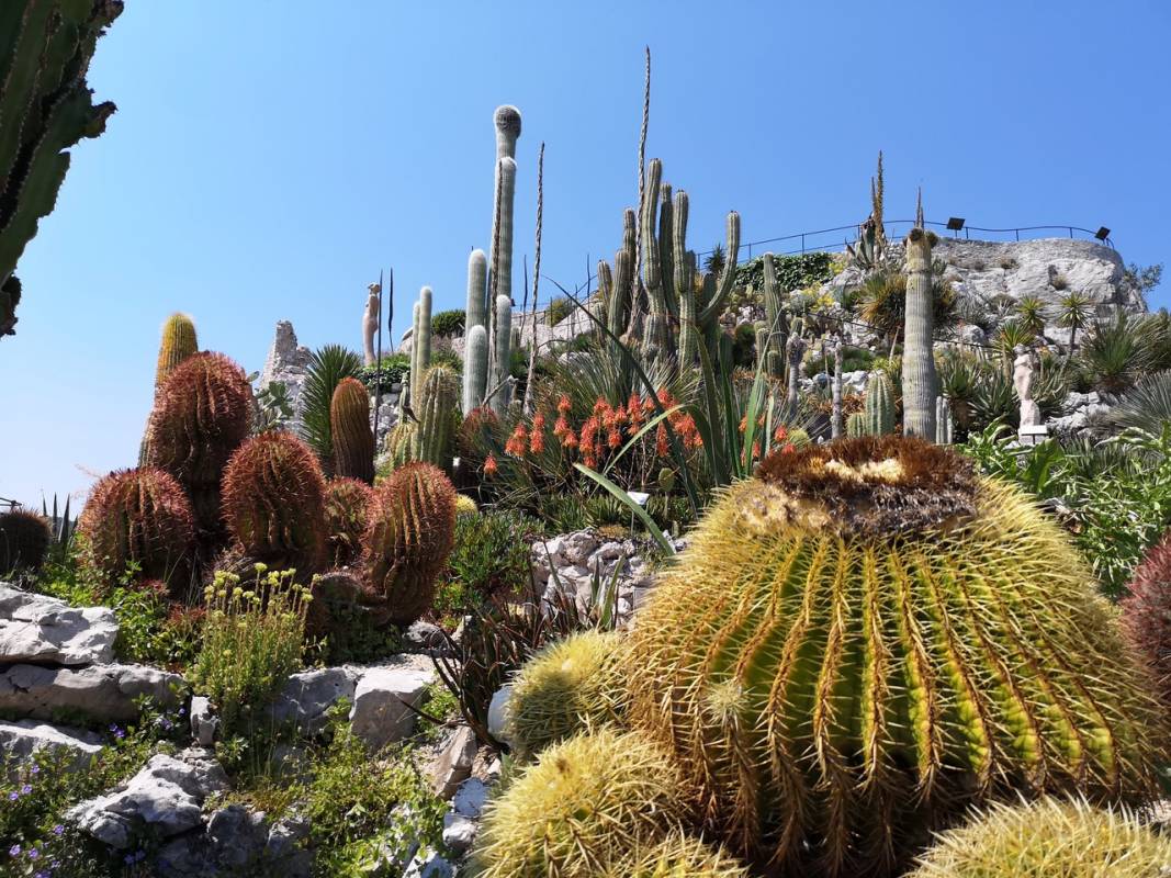 The Exotic Garden of Èze-Village