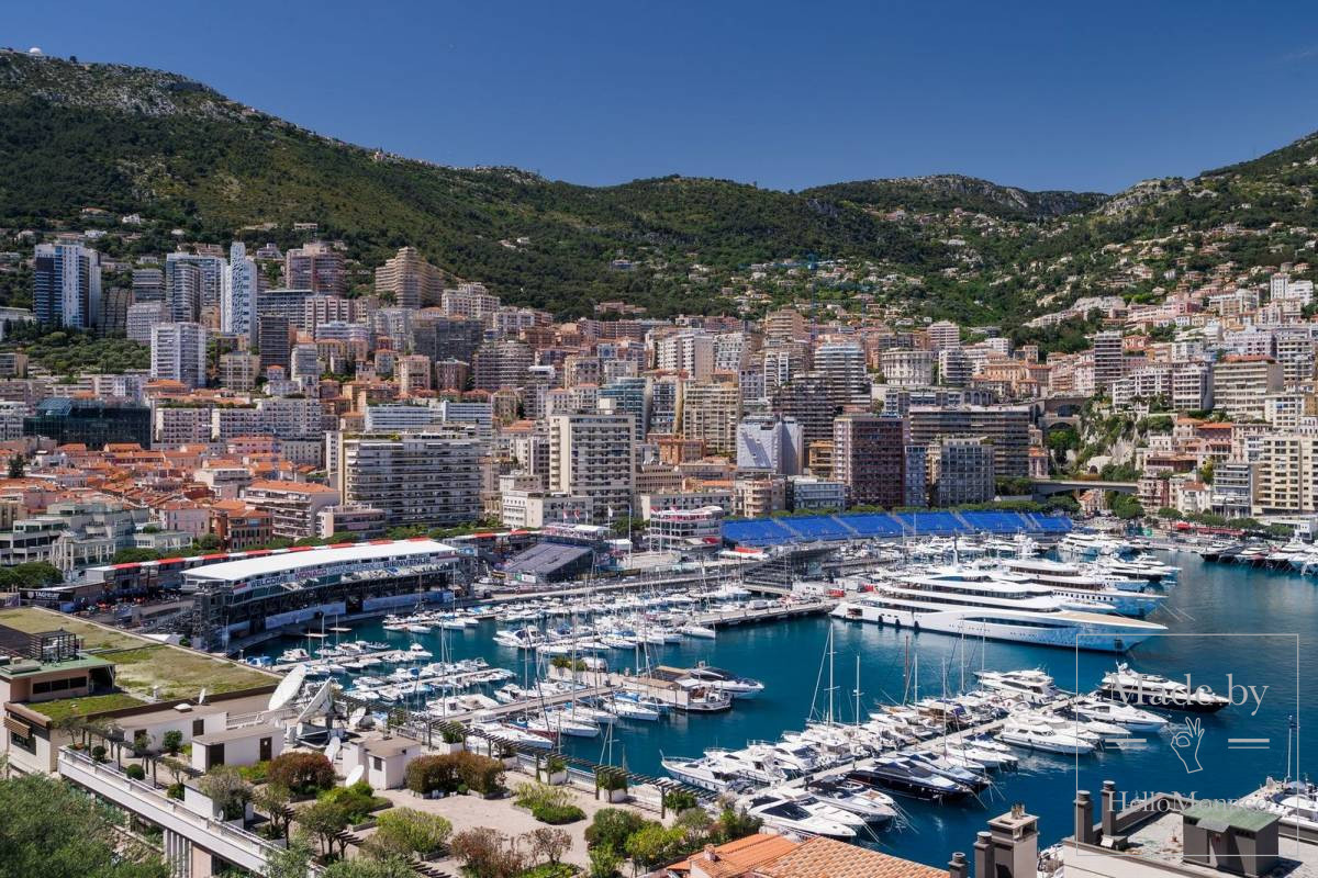 Monaco view