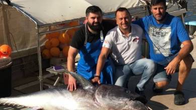 a fisherman from Monaco caught a tuna weighing 113 kg