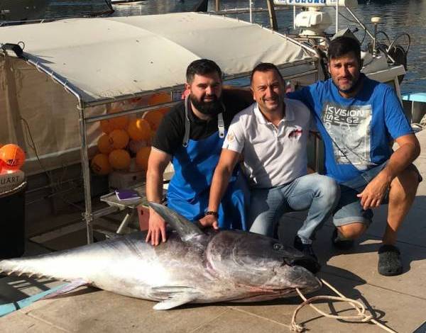 a fisherman from Monaco caught a tuna weighing 113 kg