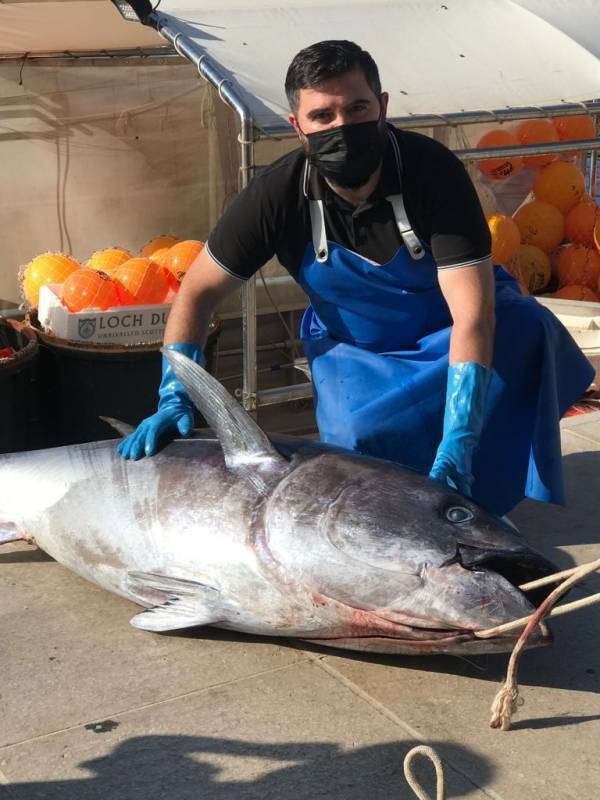 a fisherman from Monaco caught a tuna weighing 113 kg