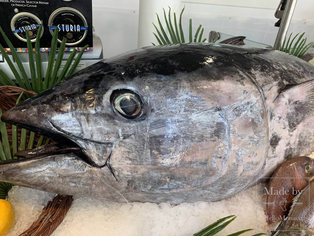 a fisherman from Monaco caught a tuna weighing 113 kg