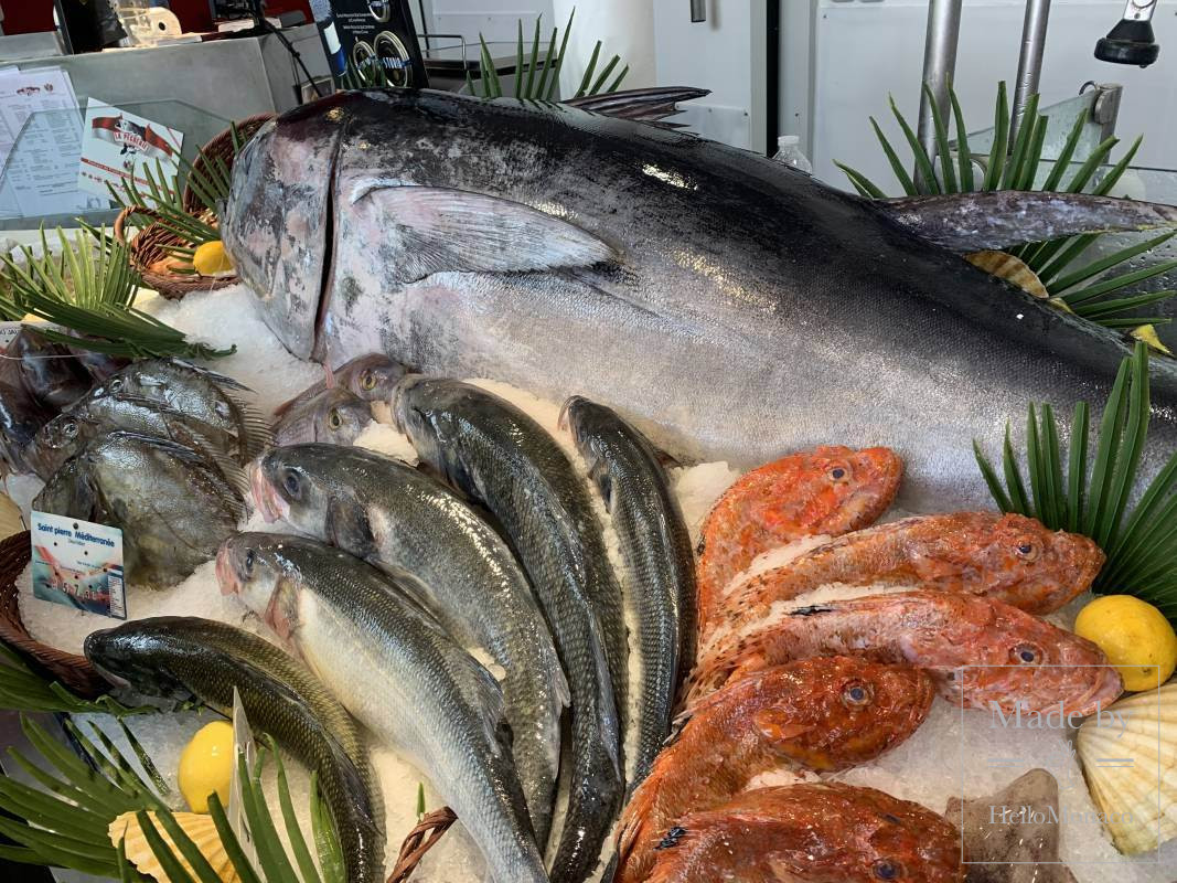 a fisherman from Monaco caught a tuna weighing 113 kg