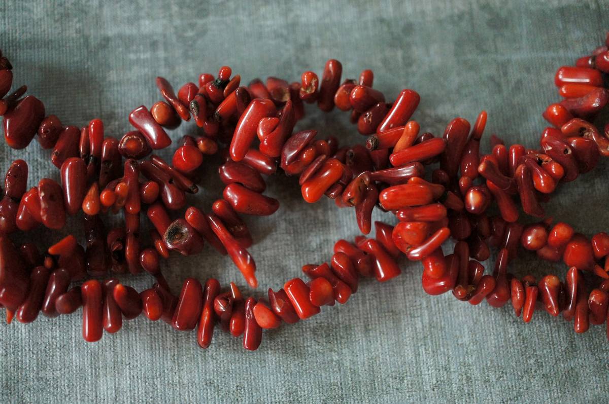 Red Coral in Port Hercule