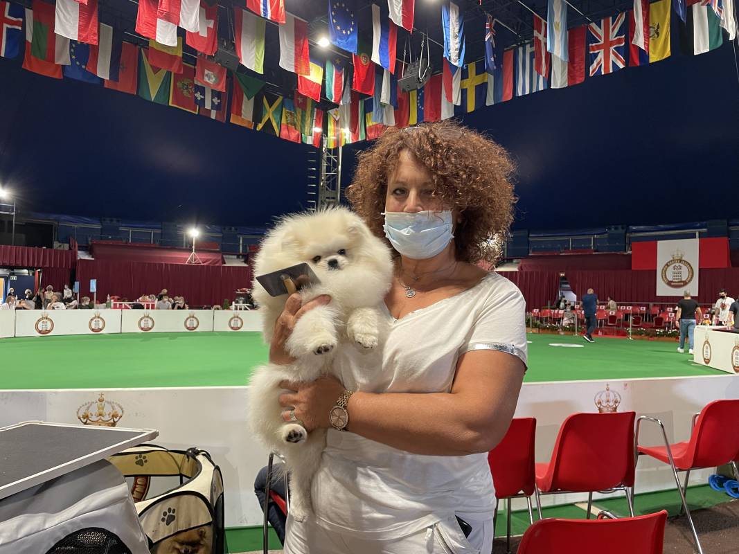 Monaco International Dog Show