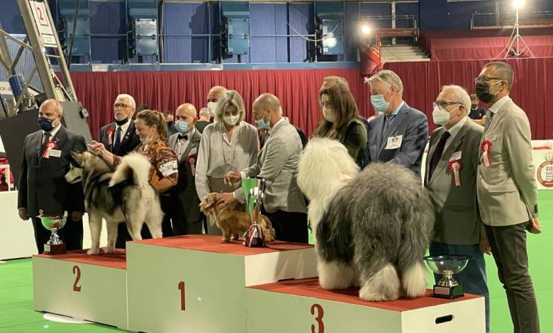 Monaco International Dog Show