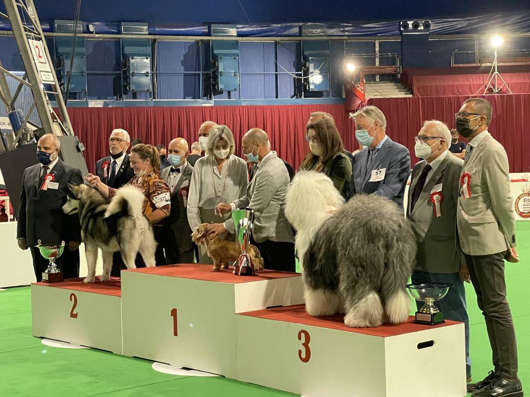 Monaco International Dog Show