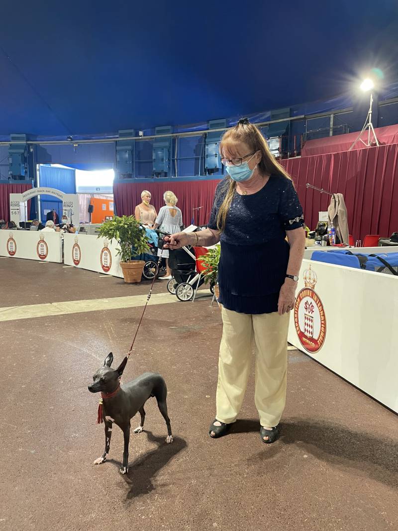 Monaco International Dog Show