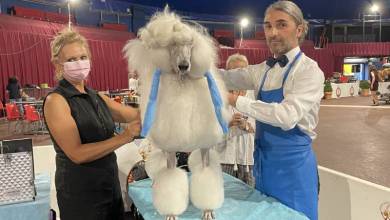 Monaco International Dog Show