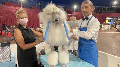 Monaco International Dog Show