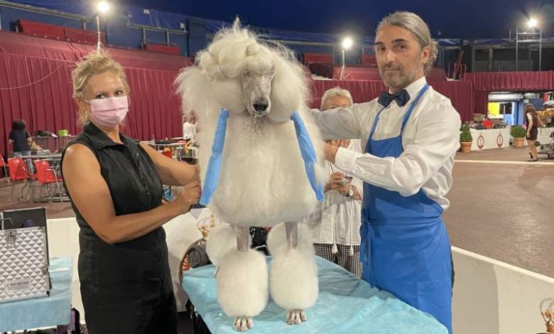 Monaco International Dog Show