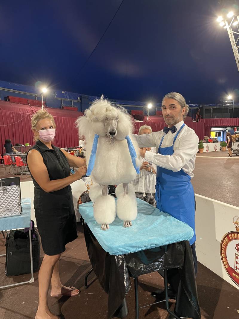 Monaco International Dog Show