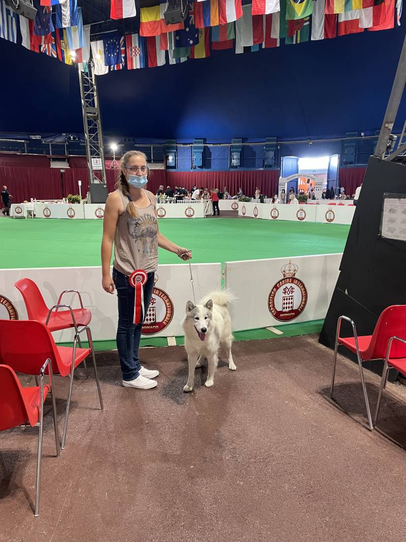 Monaco International Dog Show