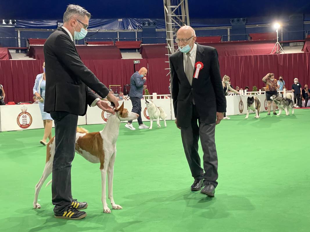 Monaco International Dog Show