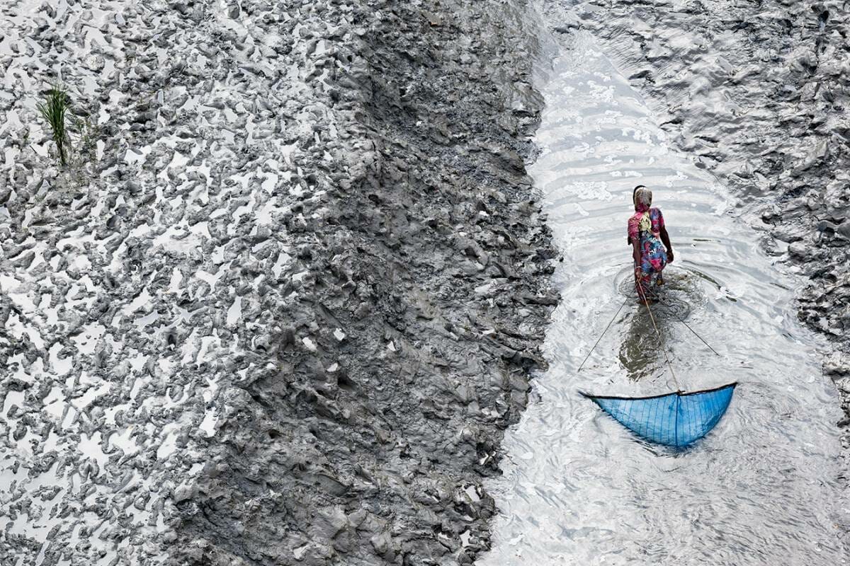 Yann Arthus-Bertrand in the heart of Nice