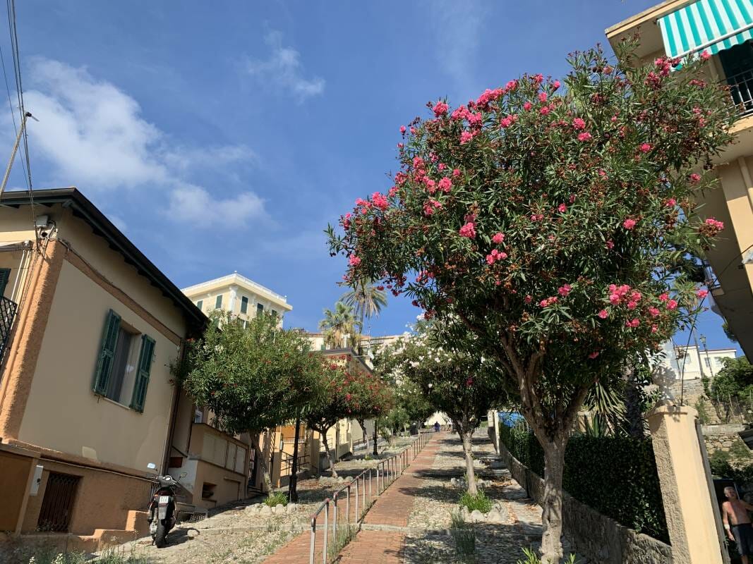 Bordighera, Italian town beloved by royalty and Charles Garnier