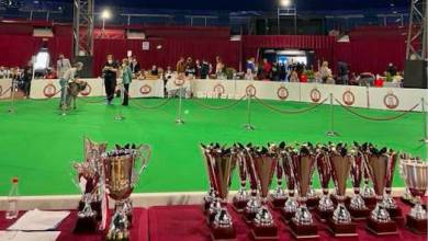 Dog show