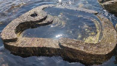 Tide Pool